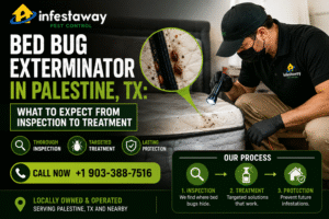 Bed Bug Exterminator in Palestine