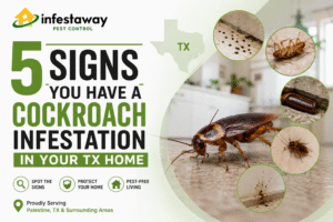 5 signs of cockroach infestation