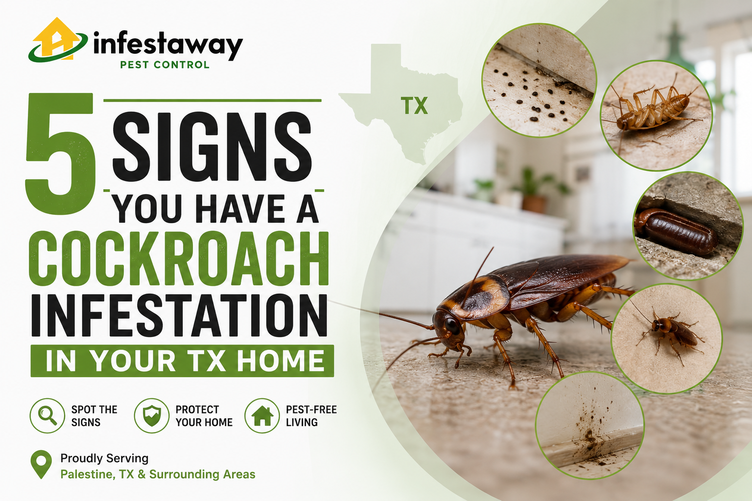 5 signs of cockroach infestation