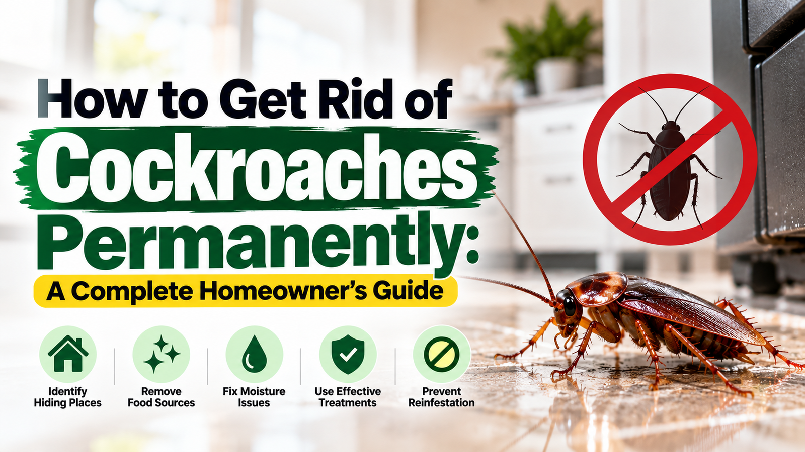 How to Get Rid of Cockroaches Permanently